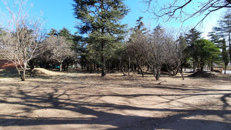 HECTAREAS SOBRE RUTA 