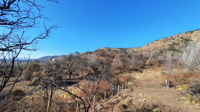 HECTAREAS SOBRE RUTA 