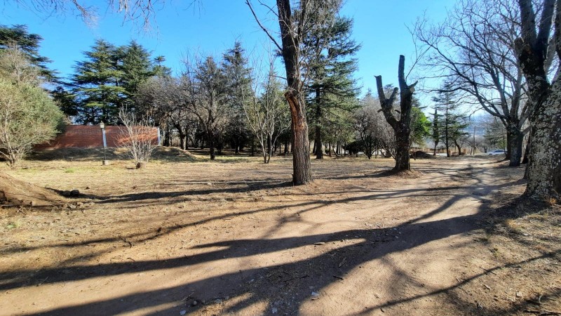 HECTAREAS SOBRE RUTA 