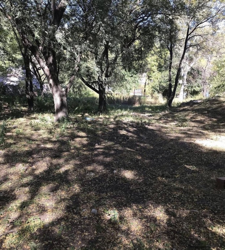 LOTE CON ESCRITURA GAS NATURAL PLANO 450M