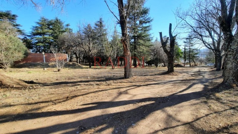 HECTAREAS EN VENTA SAN ANTONIO