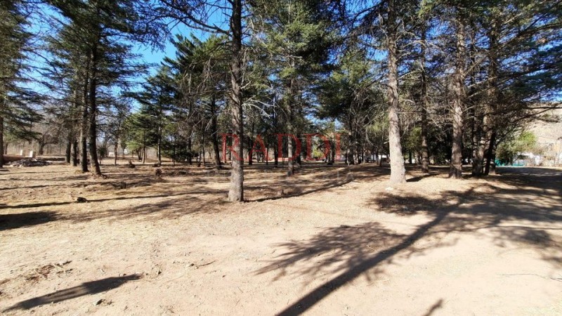 HECTAREAS EN VENTA SAN ANTONIO