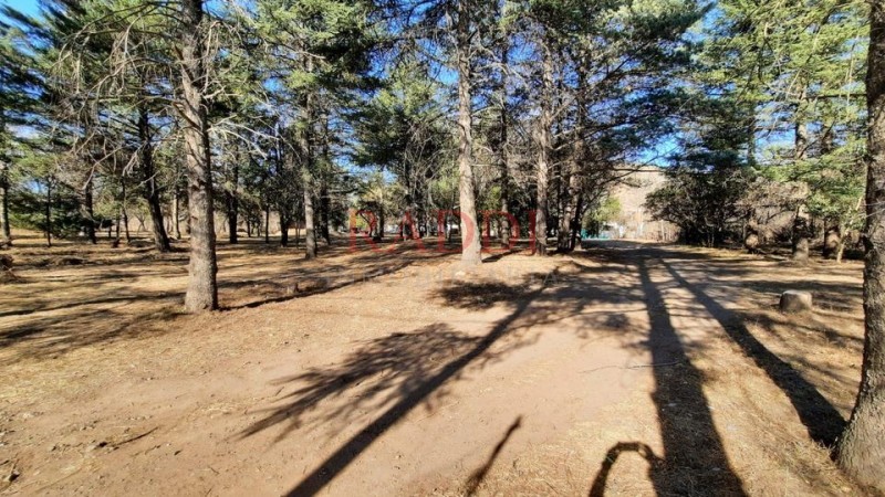 HECTAREAS EN VENTA SAN ANTONIO