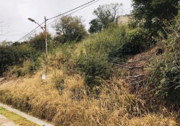 LOTE VISTA AL LAGO CALLE CORRIENTES 600M